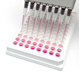 Micropipettes dispensing pink liquid into small receptacles