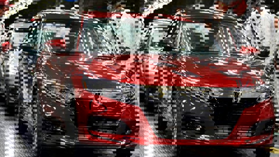 Die Cut Solutions for the Automotive Transplant Market